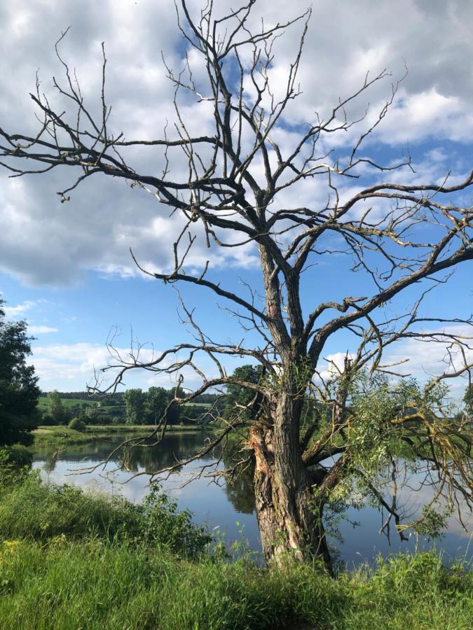 Idyllische Ferienwohnungen In Mossendorf Burglengenfeld Dış mekan fotoğraf